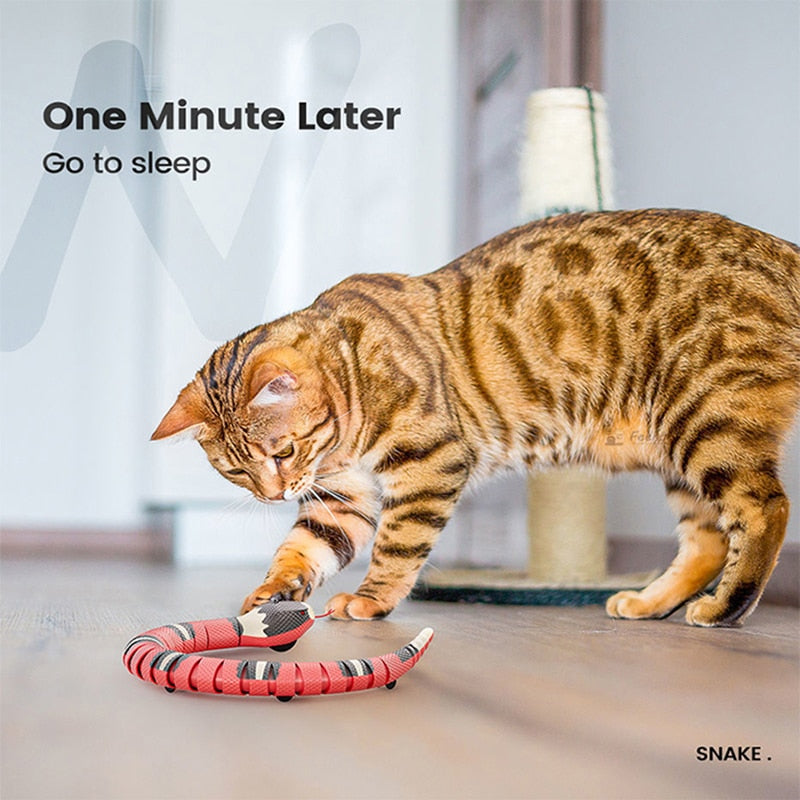 Smart Interactive Snake Cat Toy