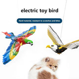 Electric bird toys