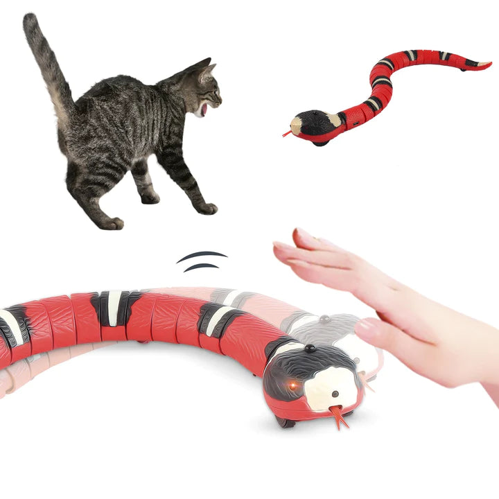 Smart Interactive Snake Cat Toy